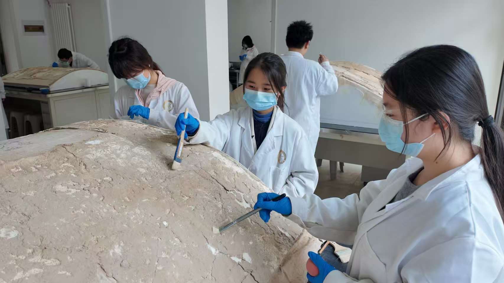 微信图片_20251026191306_936_16.jpg