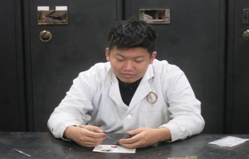 图片227.jpg